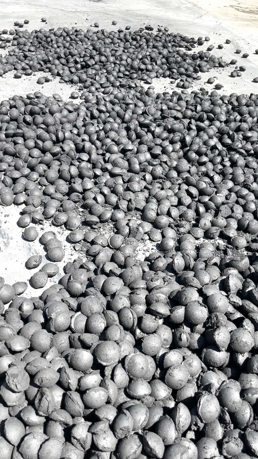 pg�ͽ�Ů��(�ٷ���)�����ճ�ϼ�������������Ч��